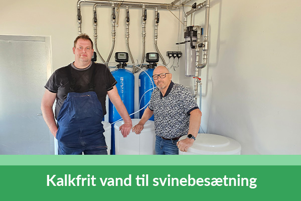 Kalkfrit vand til svinebesætning - Optimering af foder