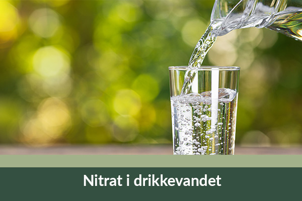 Nitrat i drikkevand